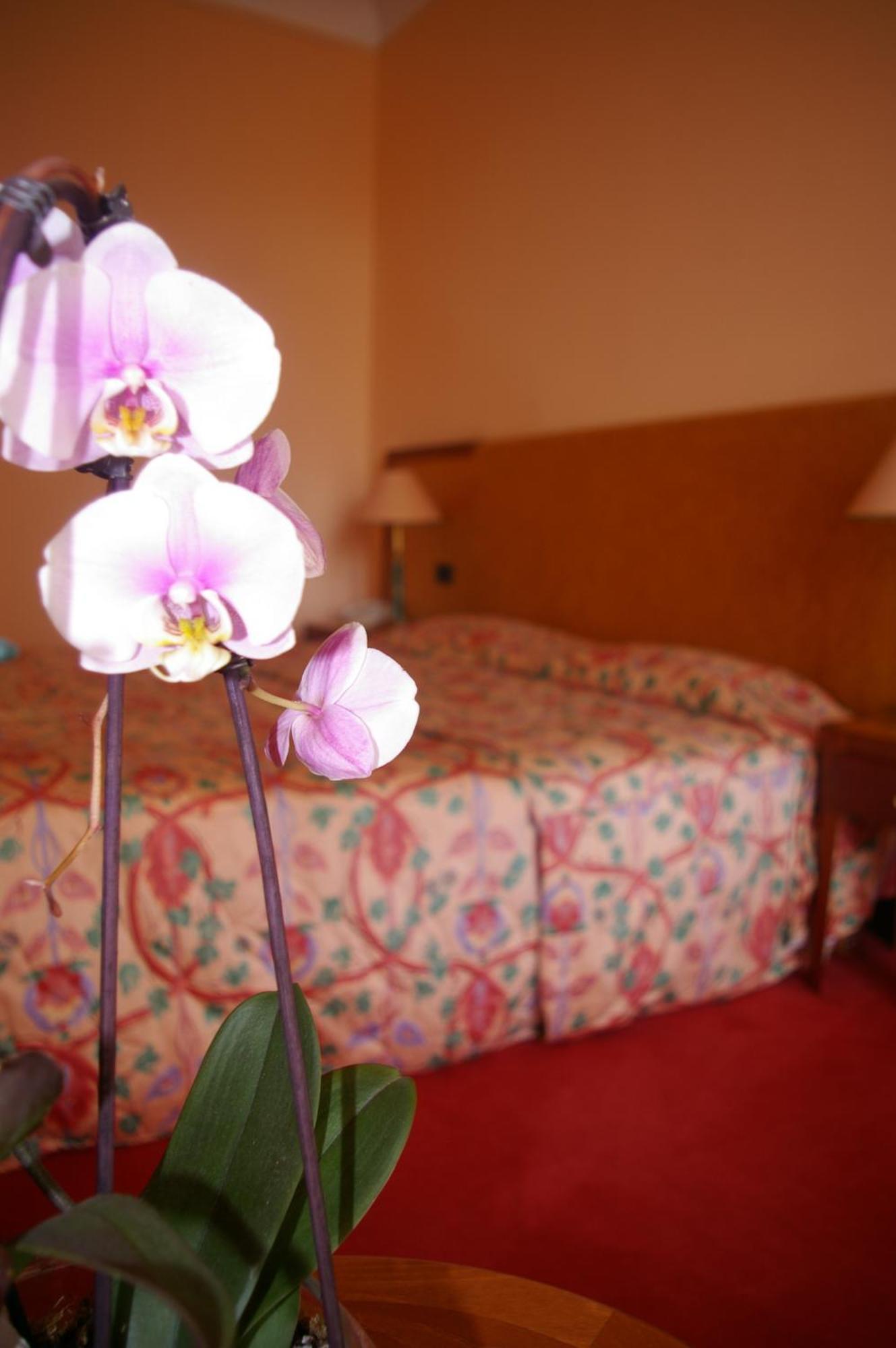 Hotel Aletti Palace Vichy Eksteriør bilde